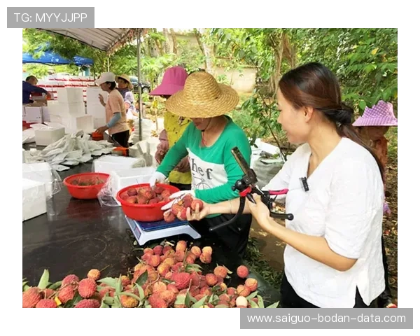 玩球直播足球直播品牌入口下载评测防骗避坑